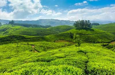 Tour Packages : Madurai, Thekkady, Munnar Packages