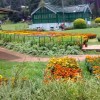 Tour Packages : Ooty