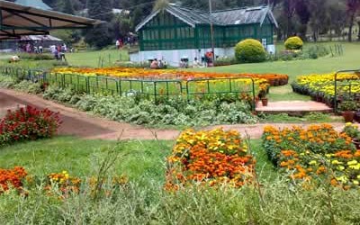 Tour Packages : Ooty